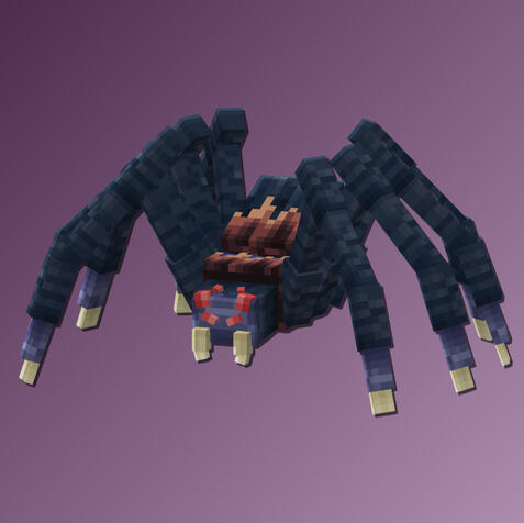 Spider